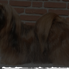 layer1-211