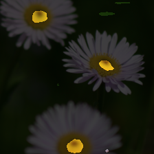 layer2-285