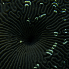 layer2-155