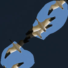 layer4-1004