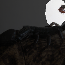 layer4-807