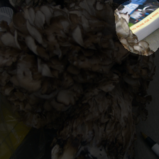 layer4-1023