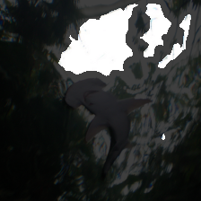 layer1-158