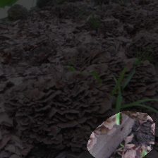 layer4-654