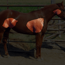layer3-624