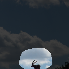 layer4-681
