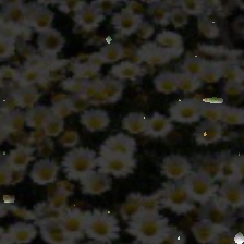 layer2-199