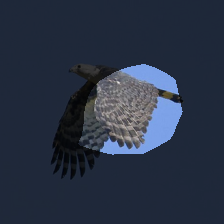 layer4-678