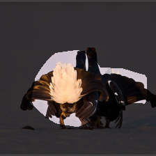 layer4-499