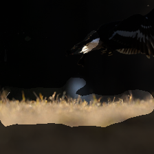 layer3-66