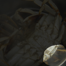 layer4-1701