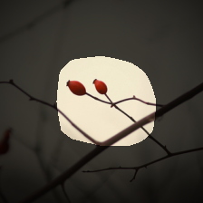 layer4-278