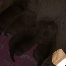 layer4-1485