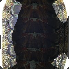 layer4-1485