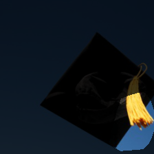 layer4-829