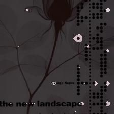 layer2-243