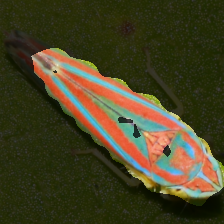 layer3-187