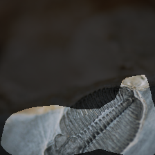 layer4-843