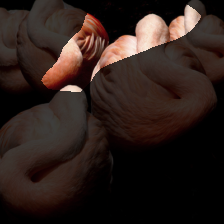 layer4-1269