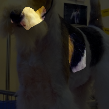 layer3-266