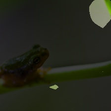 layer4-138