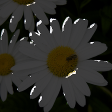layer1-248