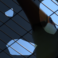 layer4-816