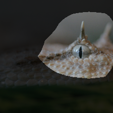 layer4-693