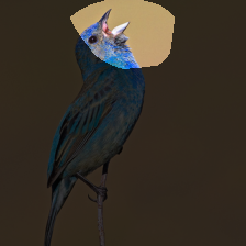 layer4-693