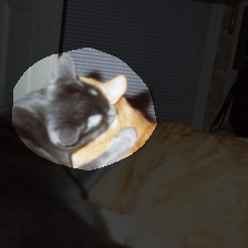 layer4-693