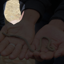 layer4-1687