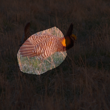 layer4-867
