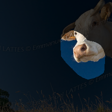 layer4-986