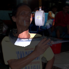 layer4-459