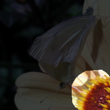 layer4-306