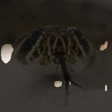layer2-85