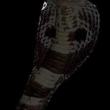 layer3-363