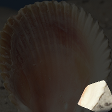 layer4-11