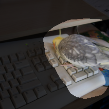layer4-14