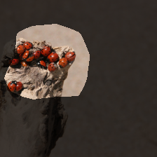 layer4-232