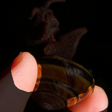 layer3-16