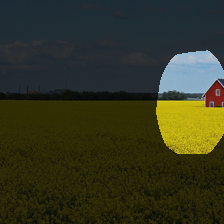 layer4-1253