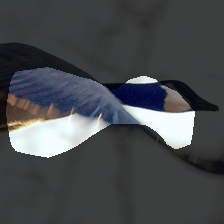 layer4-1178
