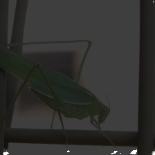 layer1-210