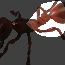 layer4-1569