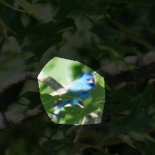 layer4-1569