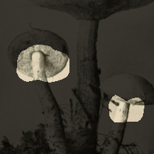 layer3-47