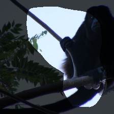 layer4-1502