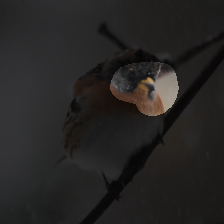 layer3-466