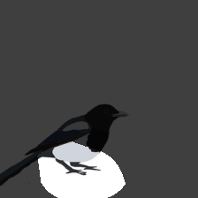 layer4-1366
